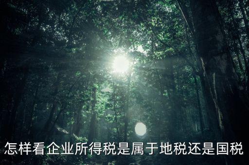 所得稅屬于什么稅，所得稅包括什么稅