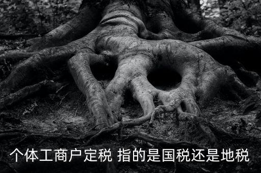 個(gè)體戶定稅是什么意思，疑難國稅個(gè)體戶定稅