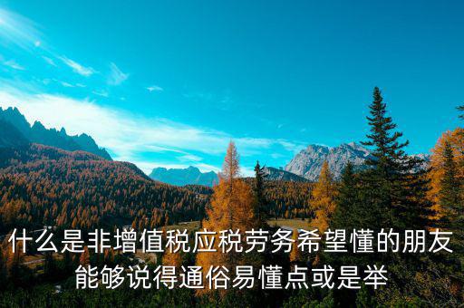 非增值稅應(yīng)稅勞務(wù)什么意思，什么是非增值稅應(yīng)稅勞務(wù)希望懂的朋友能夠說(shuō)得通俗易懂點(diǎn)或是舉