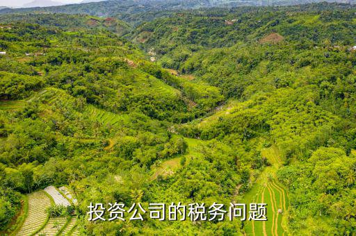 投資公司需要交什么稅，投資公司修建寺院需要上稅嗎上什么稅種