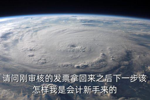 發(fā)票核定完之后接下來做什么，請(qǐng)問剛審核的發(fā)票拿回來之后下一步該怎樣我是會(huì)計(jì)新手來的