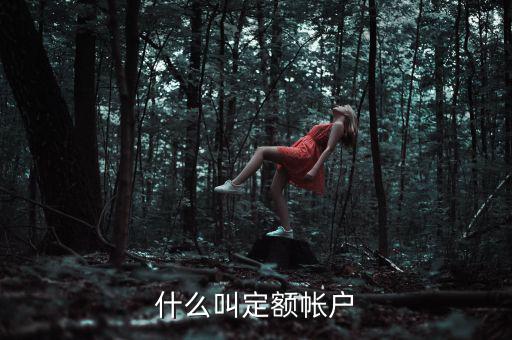 國稅的定期定額戶是什么意思，國稅買票需要定稅或建賬是什么意思