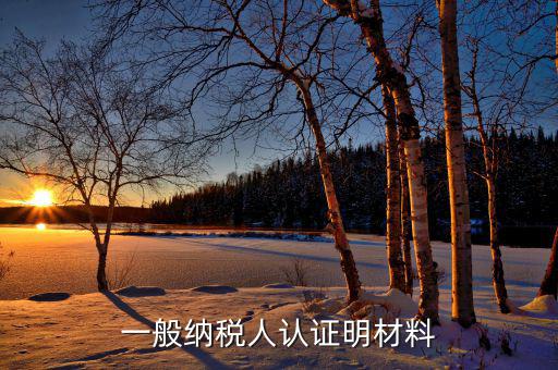 認證一般納稅人的要什么資料，一般納稅人認證明材料