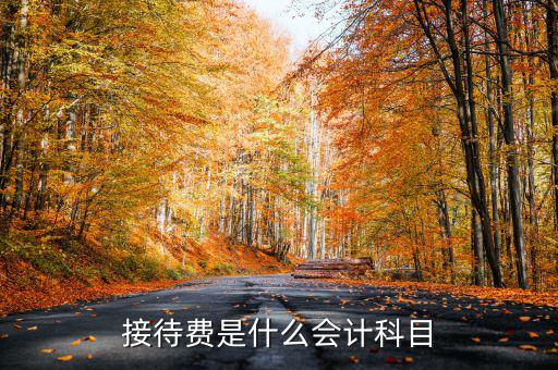 接待費計入什么科目，業(yè)務(wù)招待費屬于什么會計科目
