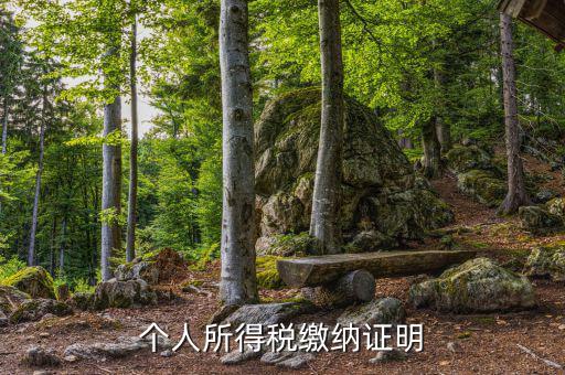 個(gè)人稅務(wù)證明是什么，什么是個(gè)人納稅證明
