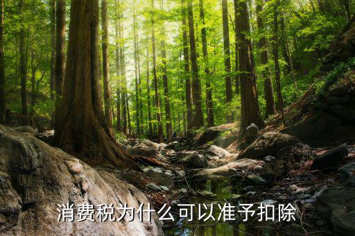 外購的汽油柴油消費稅為什么可抵扣，cpa稅法中15年真題外購汽油90用于公司運送旅客可以抵扣90