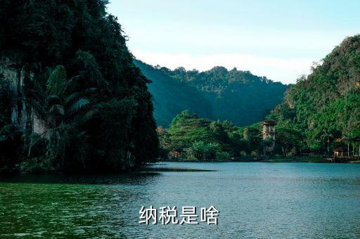 什么叫納稅，什么是納稅 六年級數(shù)學