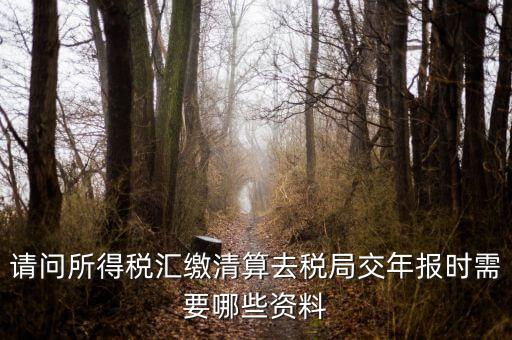 公司稅務(wù)年報(bào)需要什么，問企業(yè)所得稅年報(bào)怎么報(bào)需要什么資料