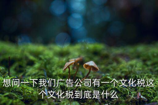 什么是稅務(wù)文化，和諧地稅文化的內(nèi)涵應包括哪些方面