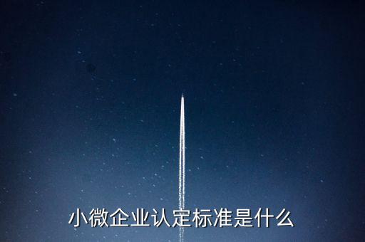 小微企業(yè)包括什么條件，小微企業(yè)的標(biāo)準(zhǔn)是什么