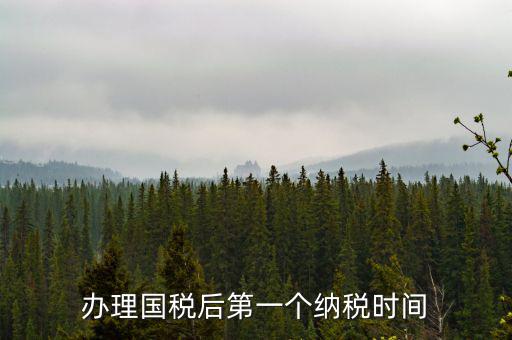 報稅后什么時候交稅，辦理國稅后第一個納稅時間