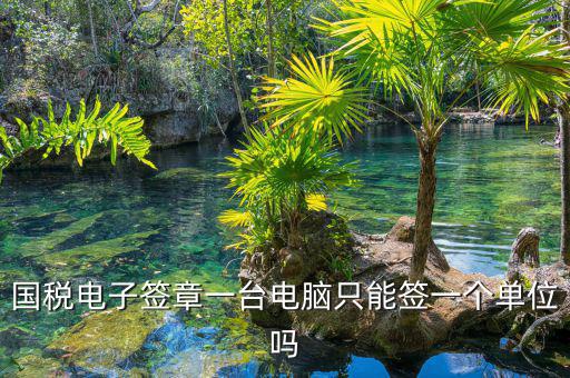 國稅電子簽章一臺電腦只能簽一個(gè)單位嗎
