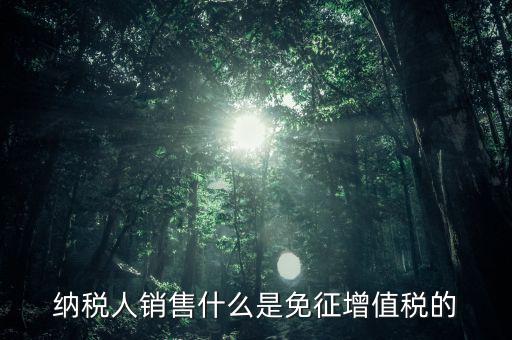 什么免征增值稅，哪些屬于免征增值稅