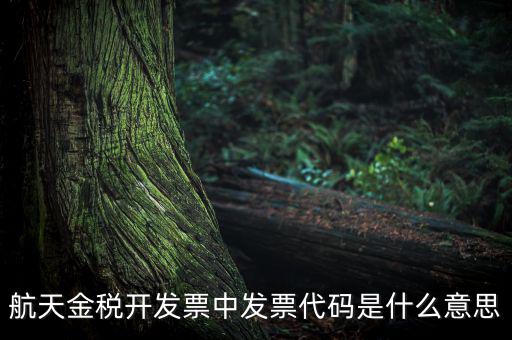 增值稅的航天編碼是什么，航天金稅 自動(dòng)開(kāi)票 怎么獲取 發(fā)票代碼 發(fā)票號(hào)碼