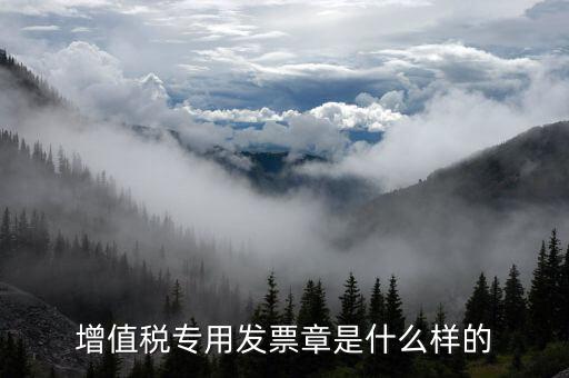 發(fā)票專用章什么樣子，增值稅專用發(fā)票章是什么樣的