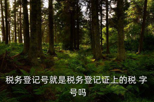稅務(wù)登記證是什么字體，稅務(wù)登記證上的這是什么字體