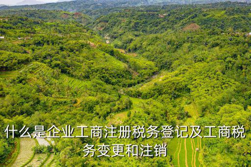登記稅務(wù)是什么，什么是納稅人稅務(wù)登記名稱