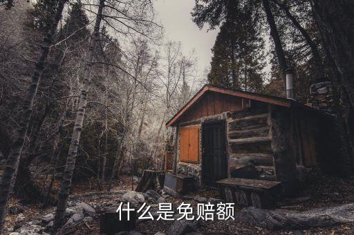 什么是免抵調(diào)庫，什么叫保險理賠免調(diào)查件
