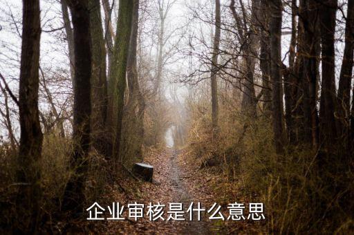 企業(yè)批票是什么意思，生產(chǎn)批次的具體定義是什么