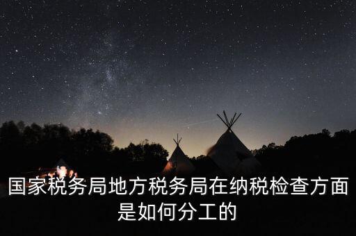地方稅務(wù)局一案雙查是什么意思，國(guó)稅局一二稽查大隊(duì)是何意思