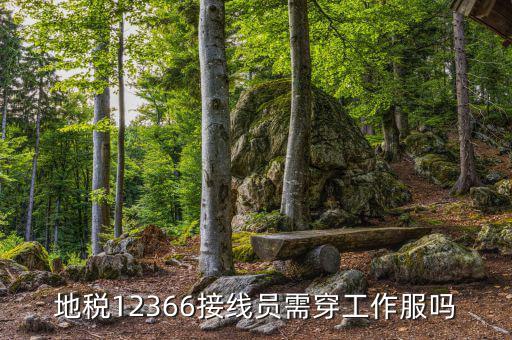 12366地稅主要負(fù)責(zé)什么，地稅是指什么
