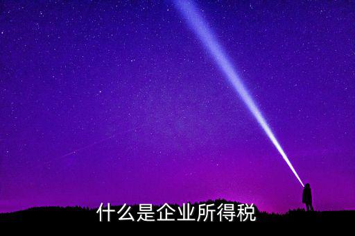 什么是公司所得稅，企業(yè)所得稅是什么意思
