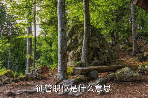 稅政 征管業(yè)務(wù)崗是什么，縣國稅局里面的業(yè)務(wù)科的主要職能是什么平時(shí)都做什么工作哪位