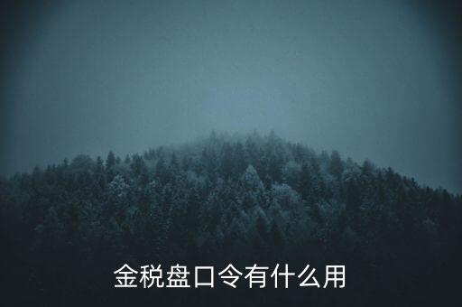 報(bào)稅數(shù)字證書口令是什么，陜西天暢偉業(yè)的網(wǎng)上報(bào)稅系統(tǒng)的登錄口令是什么