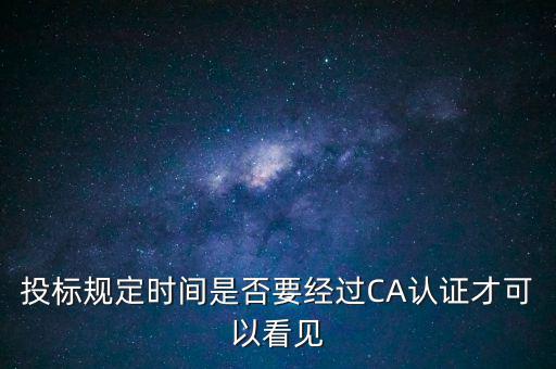 投標(biāo)規(guī)定時間是否要經(jīng)過CA認證才可以看見