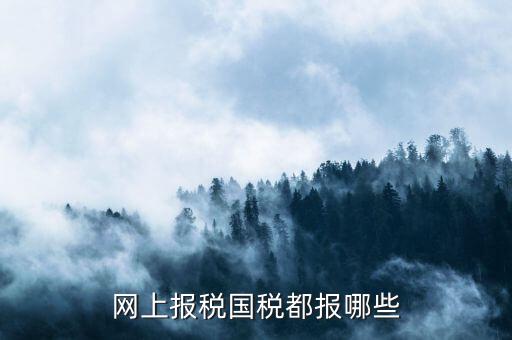 國稅申報什么，國稅局是報什么稅