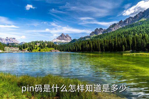 稅控盤pin碼是什么意思，pin碼是啥碼