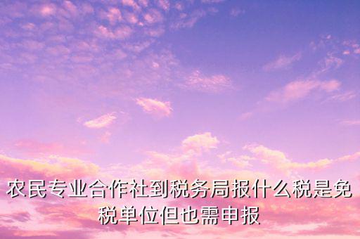 農(nóng)村合作社交什么稅，農(nóng)民合作社每個(gè)月要申報(bào)什么稅