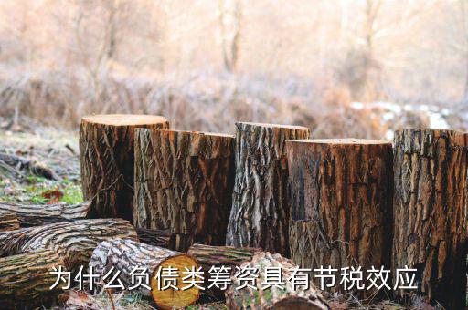 什么是節(jié)稅，為什么負債類籌資具有節(jié)稅效應(yīng)
