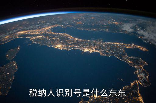 企業(yè)稅務(wù)識(shí)別號(hào)是什么意思，稅納人識(shí)別號(hào)是什么東東