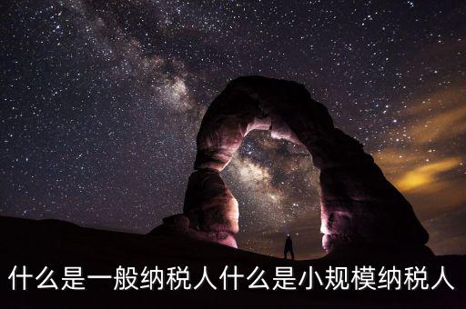 什么企業(yè)是一般納稅人，什么叫一般納稅人我如何辨別自己公司是否是一般納稅人