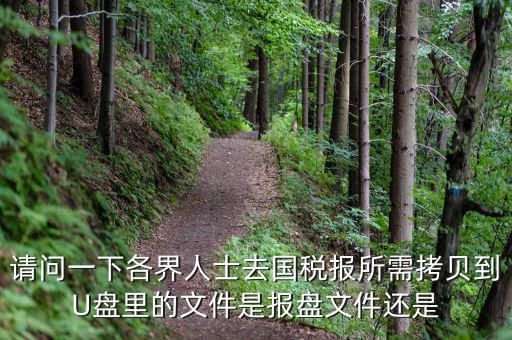 稅務(wù)報(bào)盤文件是什么，請(qǐng)問一下各界人士去國(guó)稅報(bào)所需拷貝到U盤里的文件是報(bào)盤文件還是