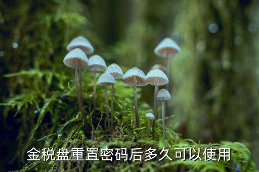 ca國稅密碼重置后是什么，樂稅社區(qū)稅友提問CA登錄時的密碼是什么納稅人自己定的還是稅