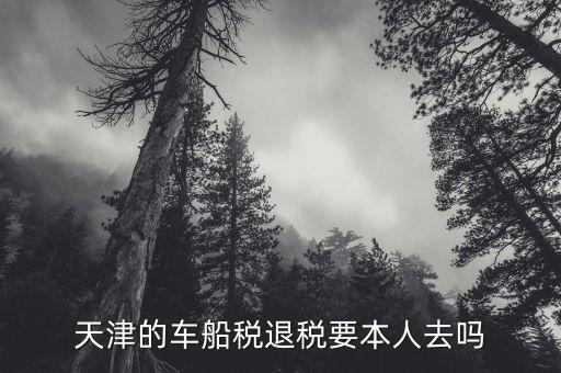 車船稅退稅需要什么資料，車船稅多收了如何辦理退稅手續(xù)