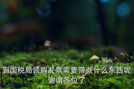 國稅局領票帶什么東西，去稅務局領發(fā)票需要帶什么資料去