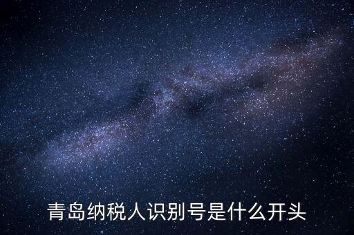 納稅人識(shí)別號(hào)什么開頭，納稅人識(shí)別號(hào)330100開頭的是哪個(gè)地方的