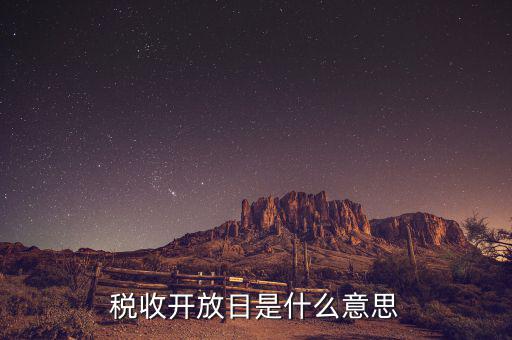 國稅開放日是什么意思，稅收開放日是什么意思