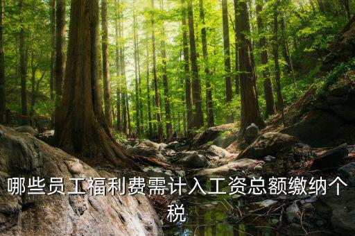 什么樣的福利費(fèi)要交個(gè)稅，什么樣的福利費(fèi)不需要交納個(gè)人所得稅呢