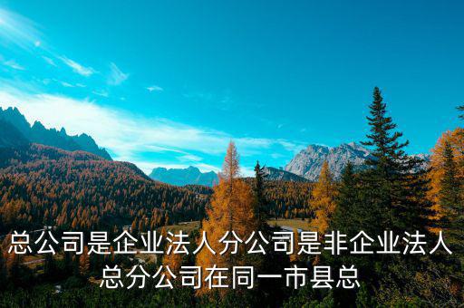 非總分機(jī)構(gòu)是什么，納稅人基本情況表沒有總分機(jī)構(gòu)總機(jī)構(gòu)名稱等還要不要填