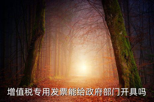 什么內(nèi)容的發(fā)票不可以給政府部門，增值稅專用發(fā)票能給政府部門開具嗎