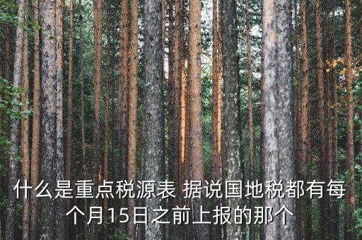 稅源監(jiān)控表是什么，股東股權(quán)變更稅源監(jiān)控登記表怎么填寫