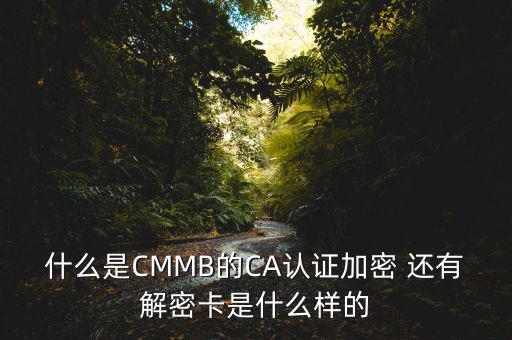 東莞ca證書密碼是什么意思，機(jī)構(gòu)代碼的ca證書的PIN碼是什么我用CA證書登陸國稅時提示詳細(xì)