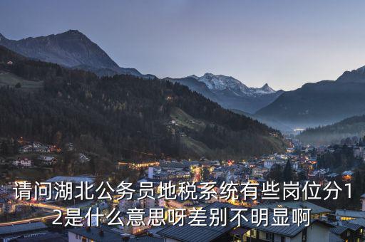 地稅上線是什么意思，0801國(guó)稅地稅啥意思
