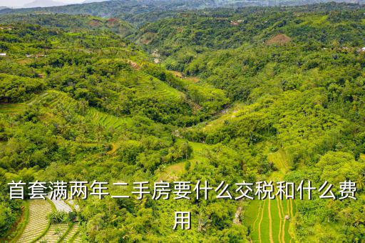 賣滿2年的房子交什么稅，商品房滿2年了出售的話需要交哪些稅詳細(xì)點(diǎn)