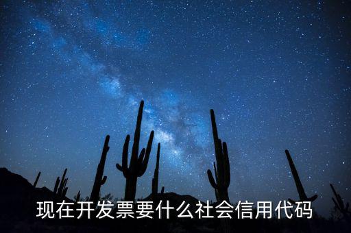 發(fā)票的社會(huì)信用代碼是什么意思，現(xiàn)在開(kāi)發(fā)票要的社會(huì)信用代碼是誰(shuí)的代碼