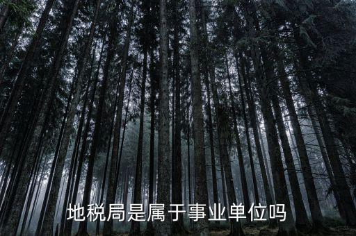 地稅屬于什么單位，地稅局是屬于事業(yè)單位嗎